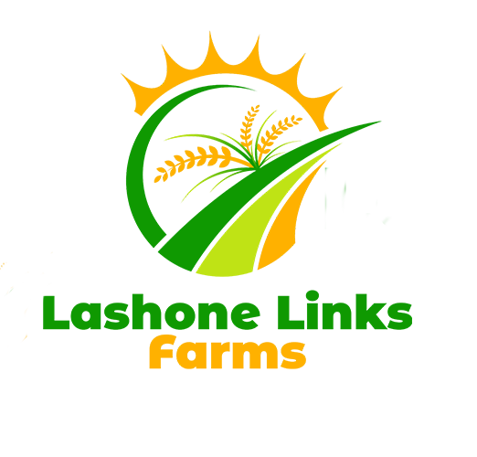 LASHONE FARM 222